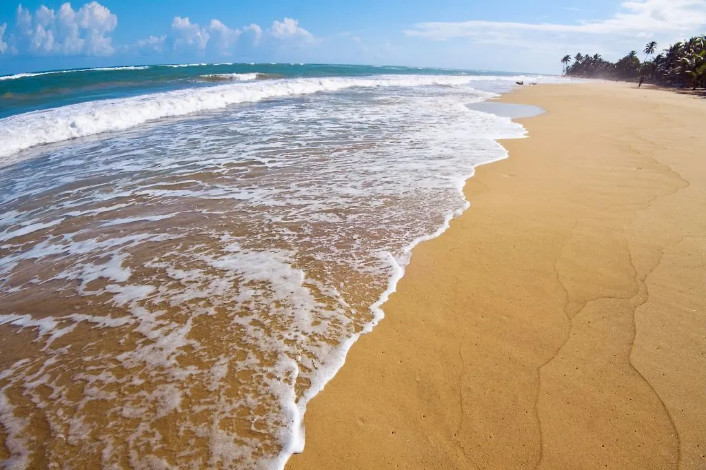 Hotel Le Sivory By Portblue Boutique - Adults Only Punta Cana 5*,